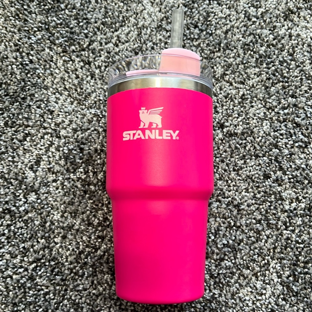 Stanley 20 Oz cup